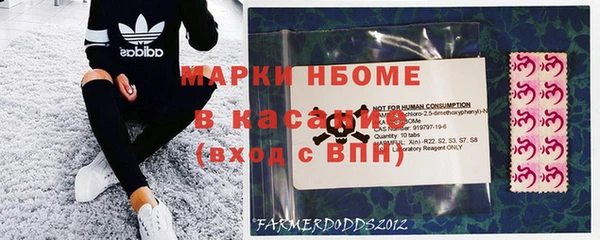 прущие грибы Балабаново